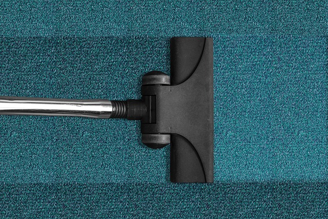 Limpiador de alfombras Hoover Platinum Collection: excelentes características y usos