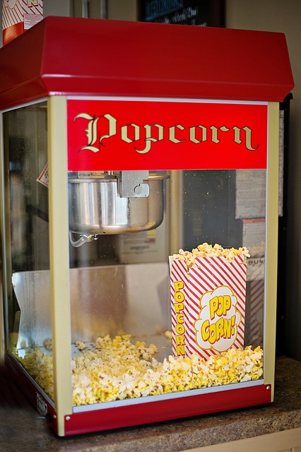 Salton Popcorn Makers – Para Deliciosas palomitas de maíz